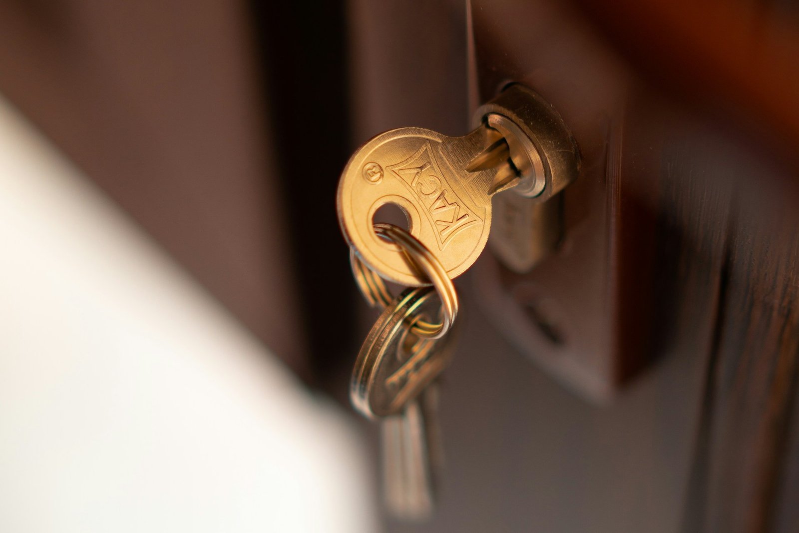 Türschloss mit sichtbarer Federmechanik und Vierkantaufnahme